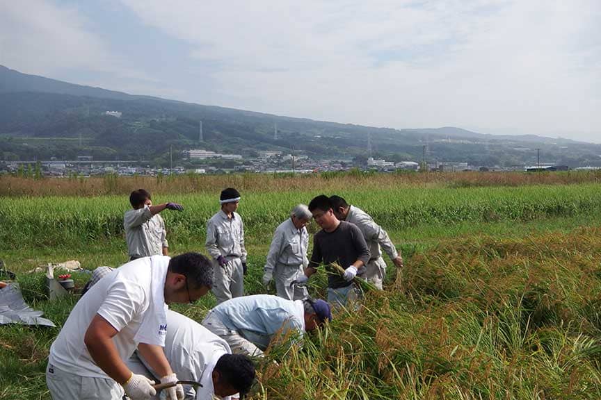 農業研修（田植え、稲刈り）