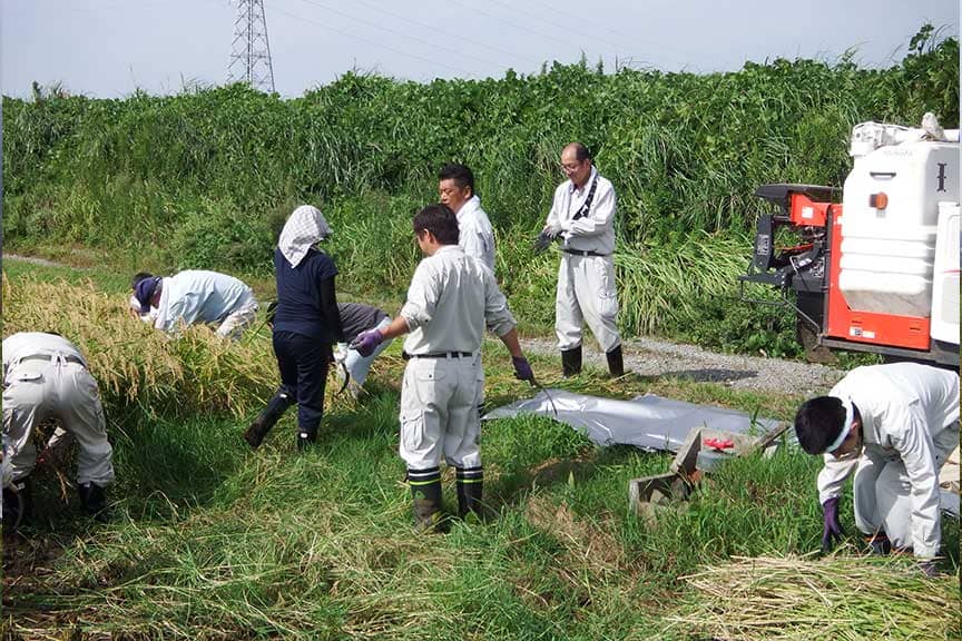 農業研修（田植え、稲刈り）